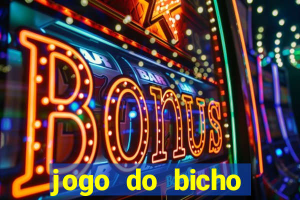 jogo do bicho crash bingo