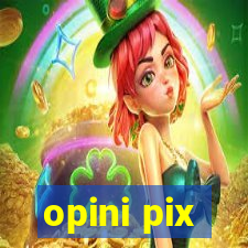 opini pix