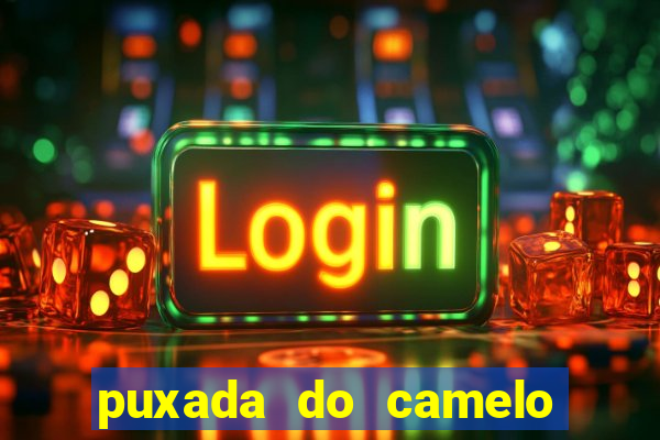 puxada do camelo no jogo do bicho