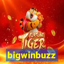 bigwinbuzz